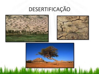 DESERTIFICAÇÃO