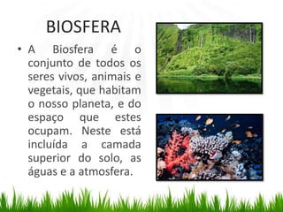 BIOSFERAA Biosfera é o conjunto de todos os seres vivos, animais e vegetais, que habitam o nosso planeta, e do espaço que estes ocupam. Neste está incluída a camada superior do solo, as águas e a atmosfera.