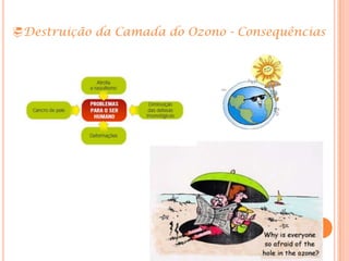 Destruição da Camada do Ozono - Consequências
 
