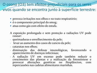O ozono (O3) tem efeitos prejudiciais para os seres
vivos quando se encontra junto à superfície terrestre:
 provoca irritações nos olhos e no trato respiratório;
 é o componente principal do smog;
 atua como gás com efeito de estufa.
A exposição prolongada e sem proteção a radiações UV pode
causar:
- queimaduras e envelhecimento da pele;
- levar ao aumento dos casos de cancro da pele;
- cataratas nos olhos;
- diminuição das defesas imunológicas, favorecendo o
aparecimento de doenças infeciosas;
- A radiação UV em excesso pode também reduzir o
crescimento das plantas e a realização da fotossíntese e
provocar alterações genéticas no fitoplâncton, com
repercussões nas cadeias alimentares marinhas.
 