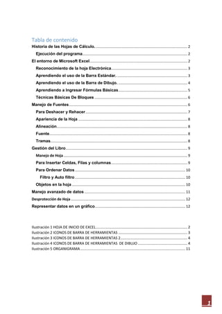 Tabla de contenido
Historia de las Hojas de Cálculo. ......................................................................................... 2
Ejecución del programa...................................................................................................... 2
El entorno de Microsoft Excel ............................................................................................... 2
Reconocimiento de la hoja Electrónica.......................................................................... 3
Aprendiendo el uso de la Barra Estándar. .................................................................... 3
Aprendiendo el uso de la Barra de Dibujo. ................................................................... 4
Aprendiendo a Ingresar Fórmulas Básicas ................................................................... 5
Técnicas Básicas De Bloques .......................................................................................... 6
Manejo de Fuentes ................................................................................................................... 6
Para Deshacer y Rehacer ................................................................................................... 7
Apariencia de la Hoja .......................................................................................................... 8
Alineación............................................................................................................................... 8
Fuente...................................................................................................................................... 8
Tramas..................................................................................................................................... 8
Gestión del Libro ...................................................................................................................... 9
Manejo de Hoja ........................................................................................................................ 9
Para Insertar Celdas, Filas y columnas .......................................................................... 9
Para Ordenar Datos ........................................................................................................... 10
Filtro y Auto filtro ........................................................................................................... 10
Objetos en la hoja .............................................................................................................. 10
Manejo avanzado de datos .................................................................................................. 11
Desprotección de Hoja ............................................................................................................... 12
Representar datos en un gráfico........................................................................................ 12

Ilustración 1 HOJA DE INICIO DE EXCEL ......................................................................................... 2
Ilustración 2 ICONOS DE BARRA DE HERRAMIENTAS ................................................................... 3
Ilustración 3 ICONOS DE BARRA DE HERRAMIENTAS 2................................................................. 4
Ilustración 4 ICONOS DE BARRA DE HERRAMIENTAS DE DIBUJO ................................................ 4
Ilustración 5 ORGANIGRAMA ...................................................................................................... 11

1

 