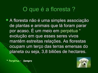 O que é a floresta ?
A  floresta não é uma simples associação
  de plantas e animais que lá foram parar
  por acaso. É um meio em perpétua *
  evolução em que esses seres vivos
  mantêm estreitas relações. As florestas
  ocupam um terço das terras emersas do
  planeta ou seja, 3,8 biliões de hectares.

* Perpétua – Sempre
 