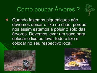 Como poupar Árvores ?
Quando fazemos piqueniques não
devemos deixar o lixo no chão, porque
nós assim estamos a poluir o solo das
árvores. Devemos levar um saco para
colocar o lixo ou levar todo o lixo e
colocar no seu respectivo local.
 