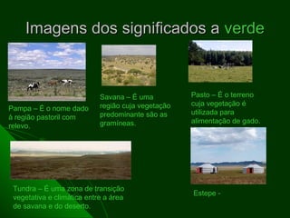 Imagens dos significados a verde



                            Savana – É uma          Pasto – É o terreno
                            região cuja vegetação   cuja vegetação é
Pampa – É o nome dado
                            predominante são as     utilizada para
à região pastoril com
                            gramíneas.              alimentação de gado.
relevo.




 Tundra – É uma zona de transição
                                                    Estepe -
 vegetativa e climática entre a área
 de savana e do deserto.
 