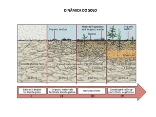 DINÂMICA DO SOLO
 