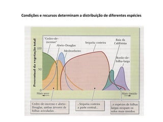 Condições e recursos determinam a distribuição de diferentes espécies
 