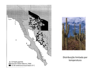 Distribuição limitada por
temperatura
 