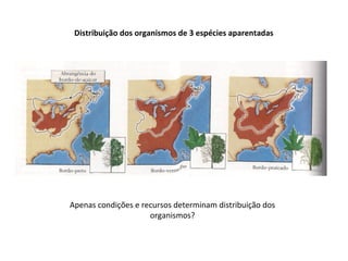Distribuição dos organismos de 3 espécies aparentadas
Apenas condições e recursos determinam distribuição dos
organismos?
 