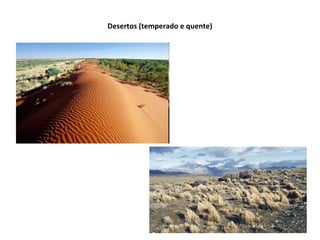 Desertos (temperado e quente)
 