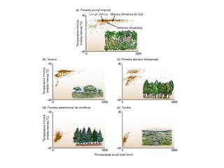 Ambiente fisico e distribuição