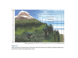 Ambiente fisico e distribuição