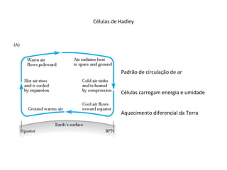 Células de Hadley
Padrão de circulação de ar
Células carregam energia e umidade
Aquecimento diferencial da Terra
 