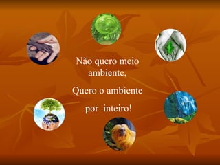 Não quero meio ambiente, Quero o ambiente por  inteiro! 