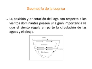 Geometría de la cuenca

   La posición y orientación del lago con respecto a los
    vientos dominantes poseen una gran importancia ya
    que el viento regula en parte la circulación de las
    aguas y el oleaje.
 