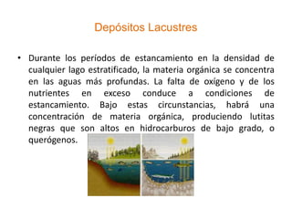 Depósitos Lacustres

• Durante los períodos de estancamiento en la densidad de
  cualquier lago estratificado, la materia orgánica se concentra
  en las aguas más profundas. La falta de oxígeno y de los
  nutrientes en exceso conduce a condiciones de
  estancamiento. Bajo estas circunstancias, habrá una
  concentración de materia orgánica, produciendo lutitas
  negras que son altos en hidrocarburos de bajo grado, o
  querógenos.
 