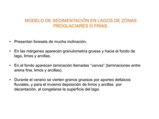 MODELO DE SEDIMENTACIÓN EN LAGOS DE ZONAS
                  PROGLACIARES O FRÍAS.


• Presentan foresets de mucha inclinación.

• En las márgenes aparecen granulometría gruesa y hacia el fondo de
  lago, limos y arcillas.

• En el fondo aparecen laminación llamadas “varvas” (laminaciones entre
  arena fina, limos y arcillas).

• Durante el verano se vierten granos gruesos por aportes deltaicos
  fluviales, y para el invierno deposición de limos y arcillas por
  decantación, al congelarse la superficie del lago.
 