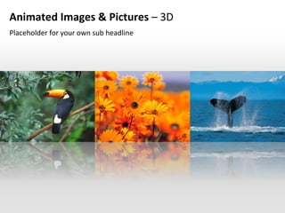Animated Images & Pictures – 3D
Placeholder for your own sub headline
 