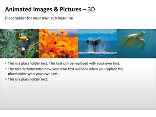 Animated Images & Pictures – 3D
Placeholder for your own sub headline




 This is a placeholder text. This text can be replaced with your own text.
 The text demonstrates how your own text will look when you replace the
  placeholder with your own text.
 This is a placeholder text.
 