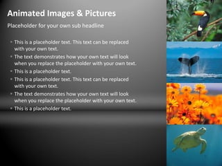Animated Images & Pictures
Placeholder for your own sub headline

  This is a placeholder text. This text can be replaced
   with your own text.
  The text demonstrates how your own text will look
   when you replace the placeholder with your own text.
  This is a placeholder text.
  This is a placeholder text. This text can be replaced
   with your own text.
  The text demonstrates how your own text will look
   when you replace the placeholder with your own text.
  This is a placeholder text.
 