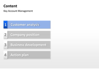 Content
Key Account Management




1 Customer analysis

2 Company position

3 Business development

4 Action plan
 