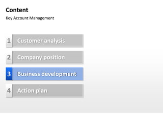 Content
Key Account Management




1 Customer analysis

2 Company position

3 Business development

4 Action plan
 