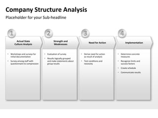 Company Structure Analysis
Placeholder for your Sub-headline


   1                                2                             3                          4
         Actual State                      Strength and
                                                                       Need for Action            Implementation
       Culture Analysis                    Weaknesses


  Workshops and surveys for       Evaluation of survey         Derive need for action    Determine concrete
   initial documentation                                          as result of analysis      measures
                                   Results logically grouped
  Survey among staff with          and make statements about    Test conditions and       Recognize limits and
   questionnaire to compression     group results                 necessity                  success factors
                                                                                            Create schedule
                                                                                            Communicate results
 