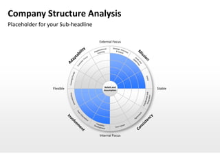 Company Structure Analysis
Placeholder for your Sub-headline

                                    External Focus




                                       Beliefs and
                 Flexible              Assumption
                                                     Stable




                                    Internal Focus
 