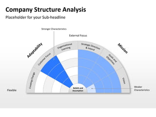 Company Structure Analysis
Placeholder for your Sub-headline

                   Stronger Characteristics

                                              External Focus




                                                 Beliefs and
                                                               Weaker
Flexible                                        Assumption     Characteristics
 