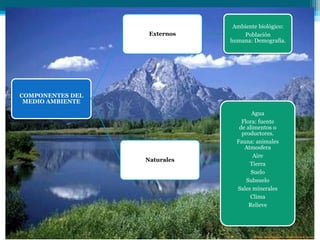 Externos

Ambiente biológico:
Población
humana: Demografía.

COMPONENTES DEL
MEDIO AMBIENTE

Naturales

Agua
Flora: fuente
de alimentos o
productores.
Fauna: animales
Atmosfera
Aire
Tierra
Suelo
Subsuelo
Sales minerales
Clima
Relieve

 
