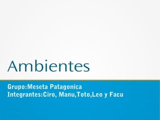 Ambientes
Grupo:Meseta Patagonica
Integrantes:Ciro, Manu,Toto,Leo y Facu
 