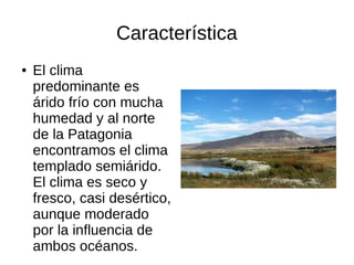 Característica
● El clima
predominante es
árido frío con mucha
humedad y al norte
de la Patagonia
encontramos el clima
templado semiárido.
El clima es seco y
fresco, casi desértico,
aunque moderado
por la influencia de
ambos océanos.
 