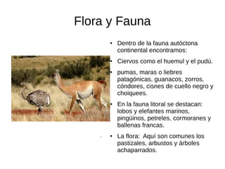 Flora y Fauna
● Dentro de la fauna autóctona
continental encontramos:
● Ciervos como el huemul y el pudú.
● pumas, maras o liebres
patagónicas, guanacos, zorros,
cóndores, cisnes de cuello negro y
choiquees.
● En la fauna litoral se destacan:
lobos y elefantes marinos,
pingüinos, petreles, cormoranes y
ballenas francas.
● La flora: Aquí son comunes los
pastizales, arbustos y árboles
achaparrados.
.
 