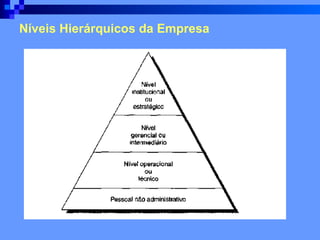 Níveis Hierárquicos da Empresa 