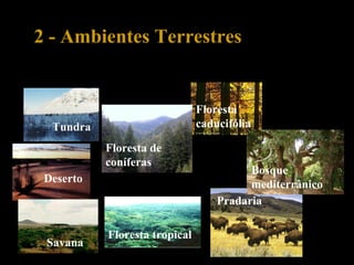 Podem assim distinguir-se diferentes ambientes:
2 - Ambientes Terrestres
Deserto
Tundra
Floresta tropical
Savana
Floresta
caducifólia
Floresta de
coníferas
Pradaria
Bosque
mediterrânico
 