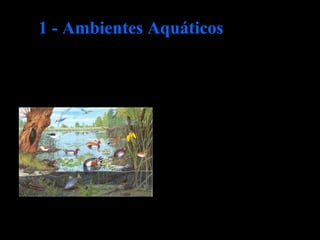 Os principais factores do meio que influenciam a
distribuição dos seres vivos em meio aquático são:
luz
temperatura
salinidade
1 - Ambientes Aquáticos
 