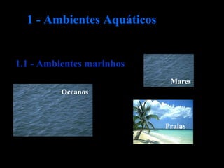 1.1 - Ambientes marinhos
1 - Ambientes Aquáticos
Mares
Oceanos
Praias
 