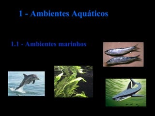1.1 - Ambientes marinhos
1 - Ambientes Aquáticos
 
