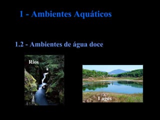 1 - Ambientes Aquáticos
1.2 - Ambientes de água doce
Lagos
Rios
 