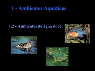 1 - Ambientes Aquáticos
1.2 - Ambientes de água doce
 