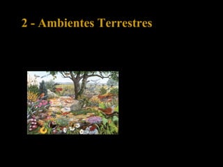 Os principais factores do meio que influenciam a
distribuição dos seres vivos em meio terrestre são:
tipo de solo
clima
2 - Ambientes Terrestres
 