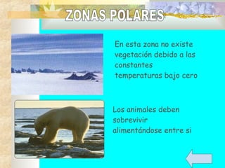 En esta zona no existe
vegetación debido a las
constantes
temperaturas bajo cero
Los animales deben
sobrevivir
alimentándose entre si