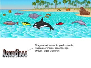 El agua es el elemento predominante.
Pueden ser mares, océanos, ríos,
arroyos, lagos y lagunas.