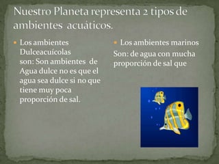  Los ambientes

Dulceacuícolas
son: Son ambientes de
Agua dulce no es que el
agua sea dulce si no que
tiene muy poca
proporción de sal.

 Los ambientes marinos

Son: de agua con mucha
proporción de sal que

 