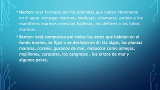 • Necton: está formado por los animales que nadan libremente
en el agua: tortugas marinas, medusas, calamares, pulpos y los
mamíferos marinos como las ballenas, los delfines y los lobos
marinos.
• Benton: está compuesto por todos los seres que habitan en el
fondo marino, se fijan o se deslizan en él: las algas, las plantas
marinas, corales, gusanos de mar, moluscos como almejas,
mejillones, caracoles, los cangrejos , los erizos de mar y
algunos peces.
 