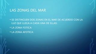 LAS ZONAS DEL MAR
• SE DISTINGUEN DOS ZONAS EN EL MAR DE ACUERDO CON LA
LUZ QUE LLEGA A CADA UNA DE ELLAS:
• LA ZONA FOTICA:
• LA ZONA AFOTICA:
 