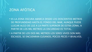 ZONA AFÓTICA
• ES LA ZONA OSCURA ABARCA DESDE LOS DOSCIENTOS METROS
DE PROFUNDIDAD HASTA EL FONDO DEL MAR, AUNQUE PUEDE
LLEGAR ALGO DE LUZ A LA PARTE SUPERIOR DE ESTRA ZONA, A
PARTIR DE LOS MIL METROS LA OSCURIDAD ES TOTAL.
• A PARTIR DE LOS DOS MIL METROS LOS SERES VIVOS SON MÁS
ESCASOS, SE ENCUENRAN GUSANOS, POCOS PECES Y BIVALVOS.
 