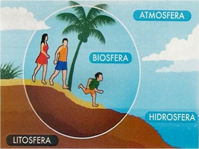 6Âº ano - 1Âº bimestre - Ambientes camadas terra_placas