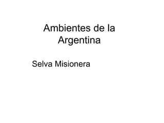 Ambientes de la
Argentina
Selva Misionera
 
