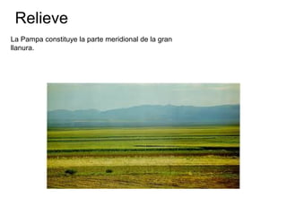 Relieve
La Pampa constituye la parte meridional de la gran
llanura.
 
