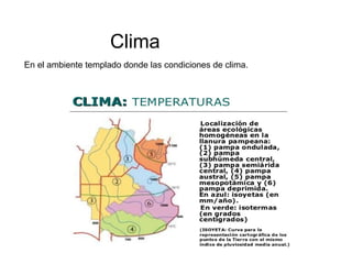 Clima
En el ambiente templado donde las condiciones de clima.
 